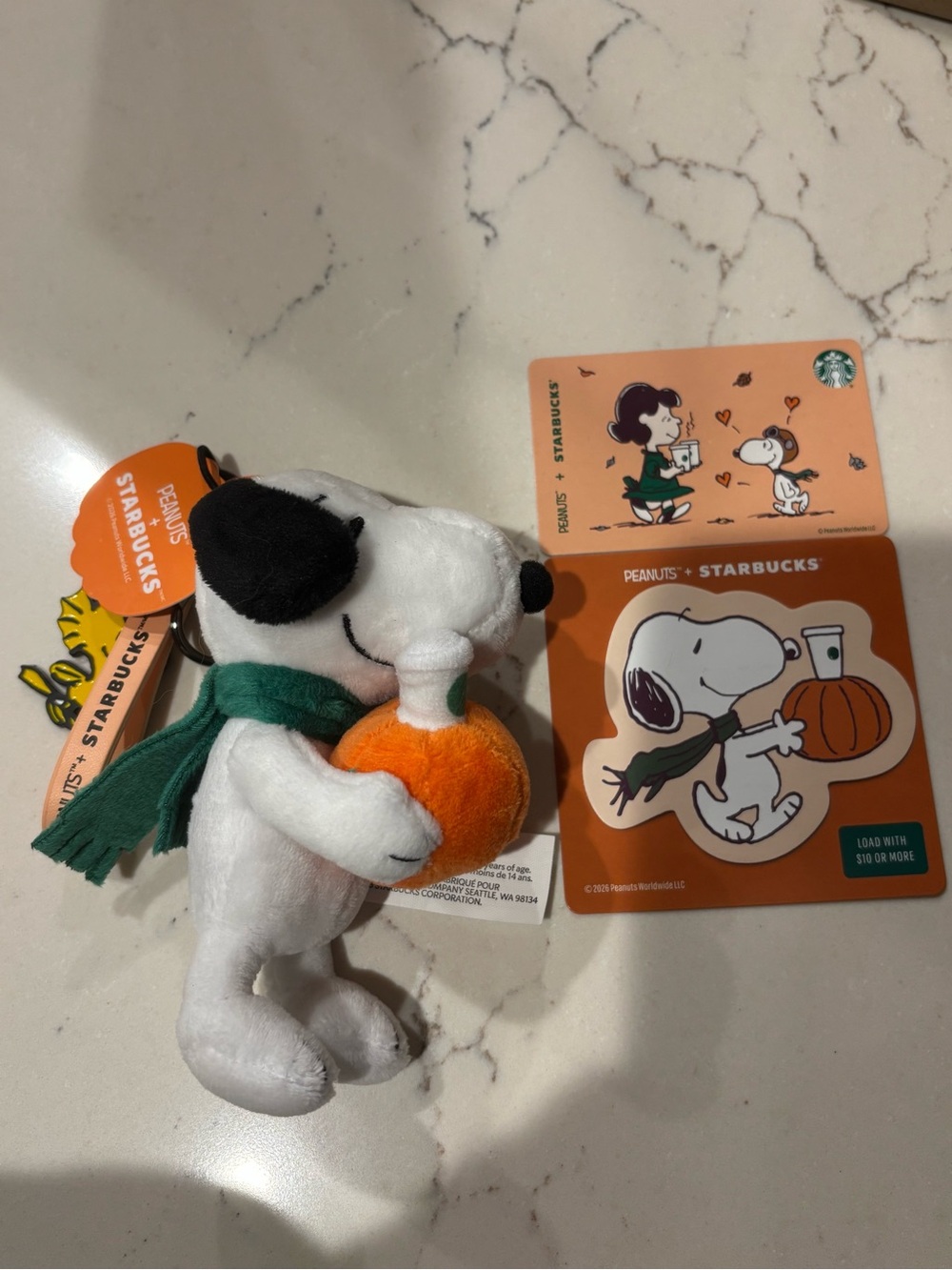 Starbucks x Peanuts Snoopy Pumpkin Plush Keychain & Collectible Gift Cards NWT